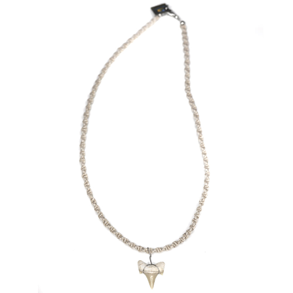 charming shark, jewelry, shark tooth necklace, natural, unisex, men, hemp, tan, light