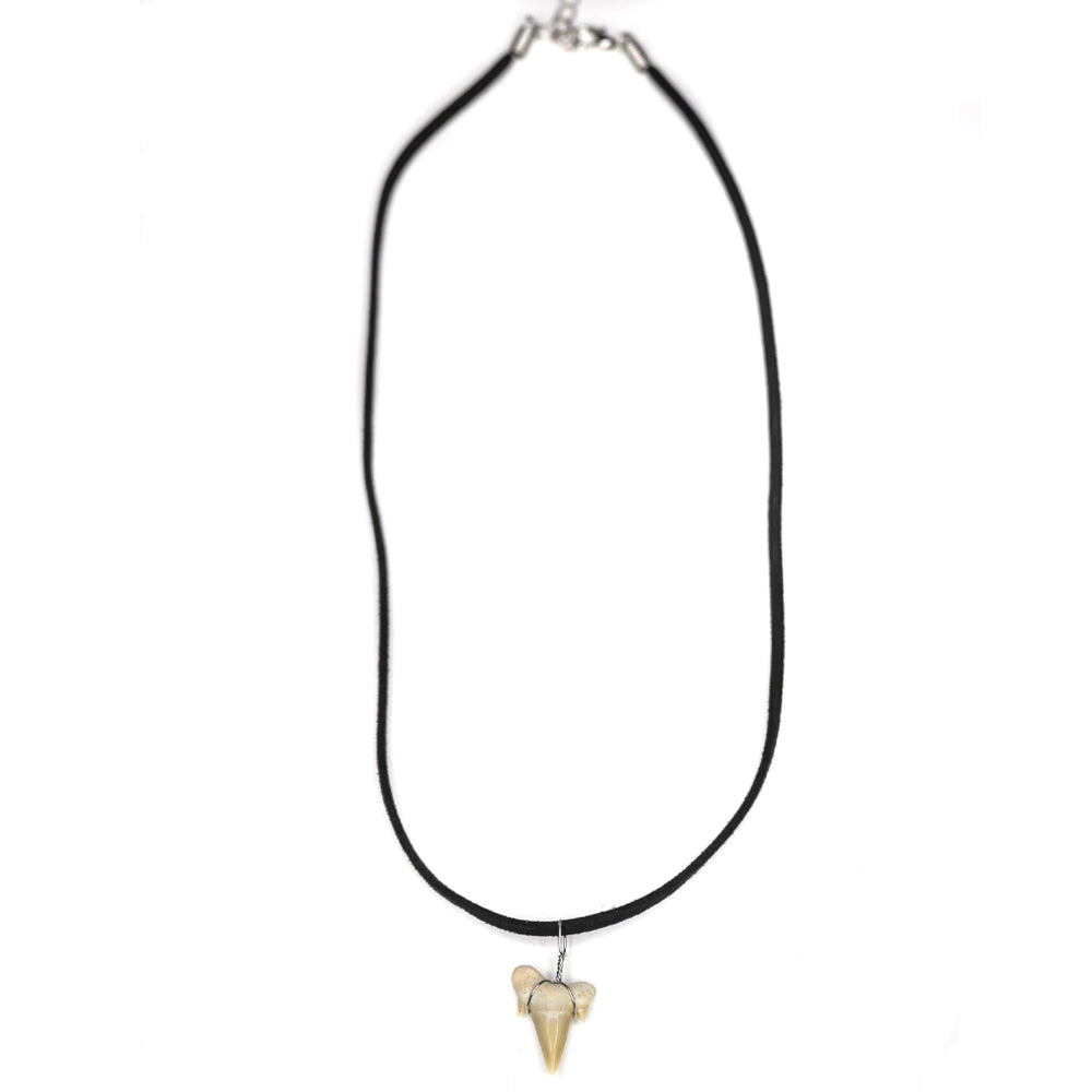 charming shark, jewelry, shark tooth necklace, men, unisex, trendy, cool, black, big, tooth, shark, suede necklace