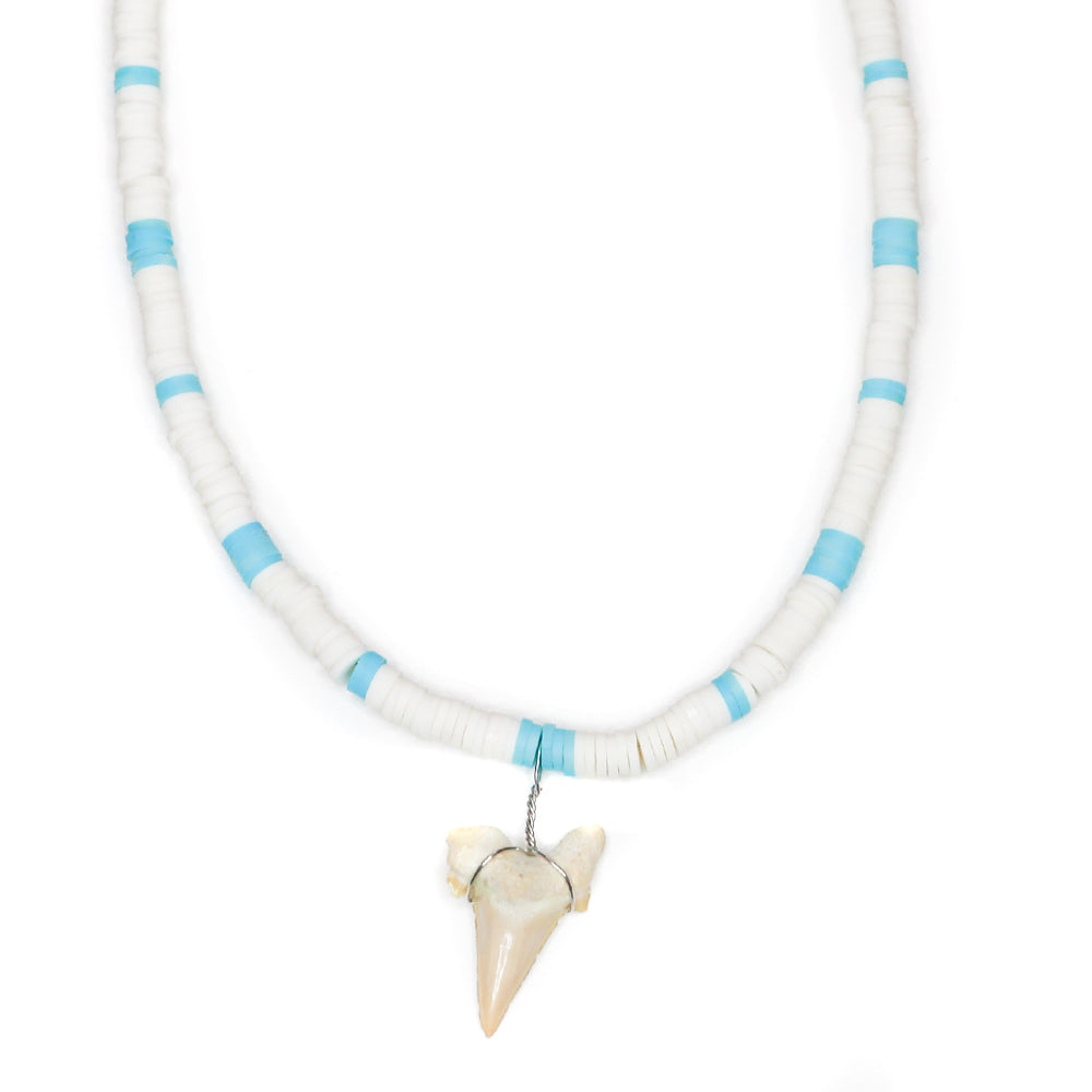 Colorful Shark - Fossil Shark Tooth Necklace