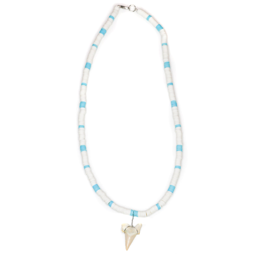 Colorful Shark - Fossil Shark Tooth Necklace