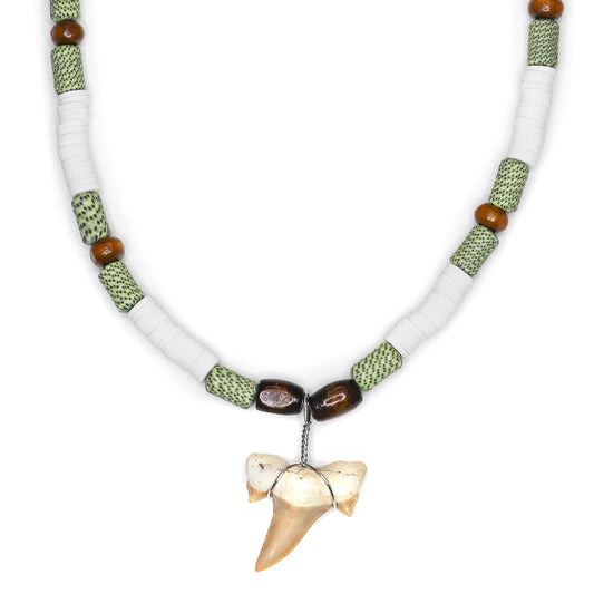 Green Shark - Fossil Sharks Tooth Necklace