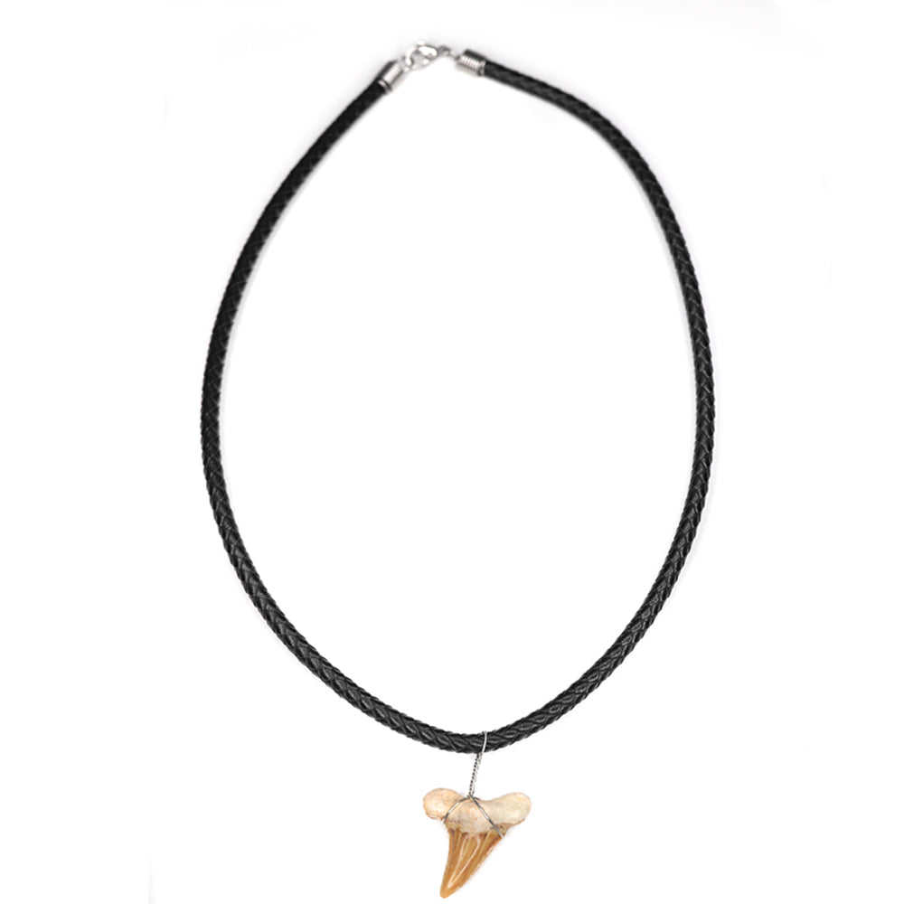 Leather Bolo Shark - Fossil Shark Tooth Necklace