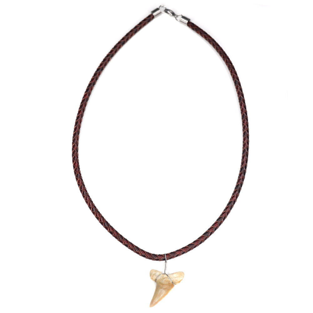Leather Bolo Shark - Fossil Shark Tooth Necklace