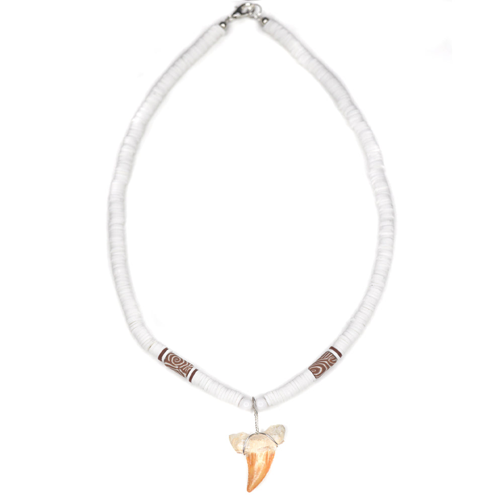 White Wild Shark - Fossil Sharks Tooth Necklace