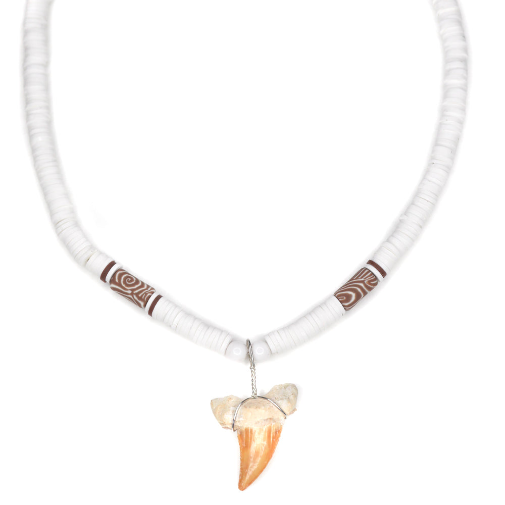 White Wild Shark - Fossil Sharks Tooth Necklace