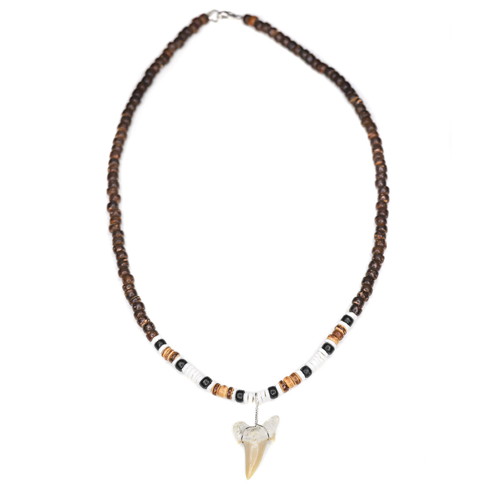 charming shark, shark tooth necklace, men, coconut beads, puka shell, white, brown, black, trendy, cool, Surfer Necklace, Hawaiian, jewelry