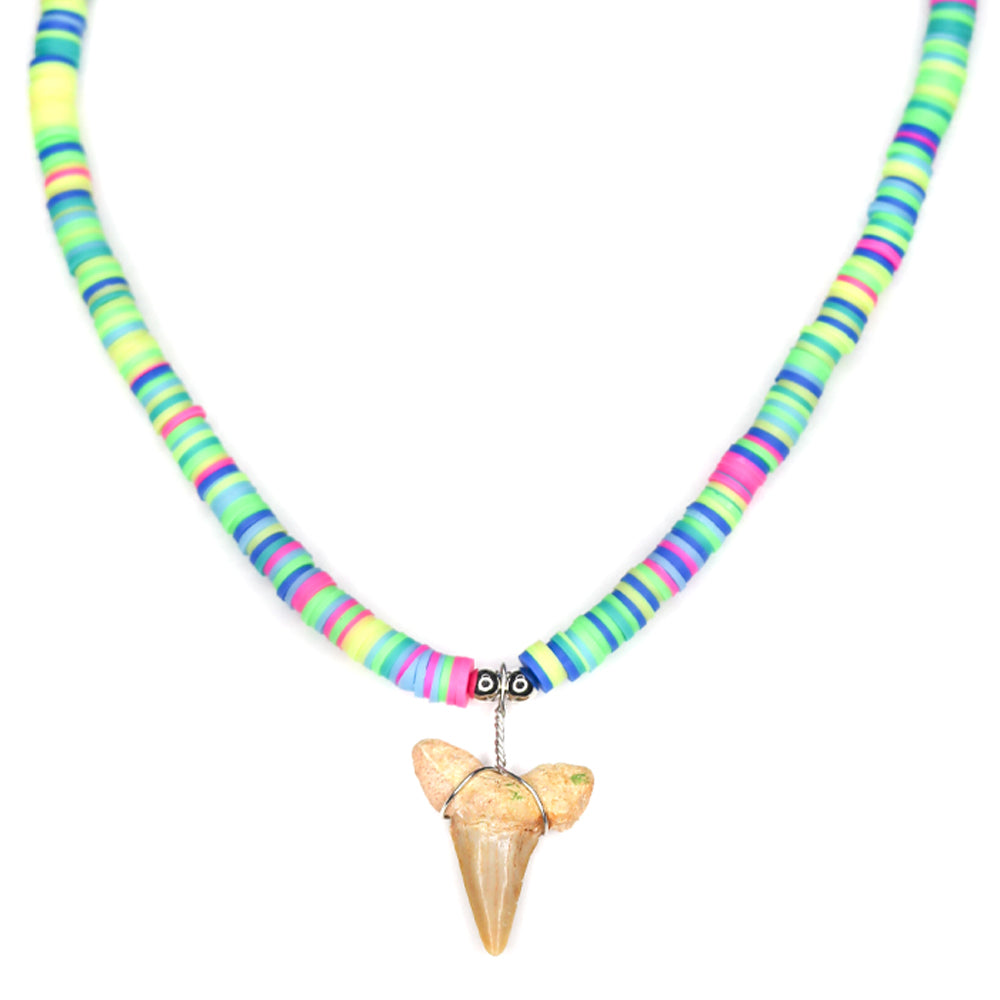 Colorful Shark Fossil Sharks Tooth Necklace – Charming Shark Retail