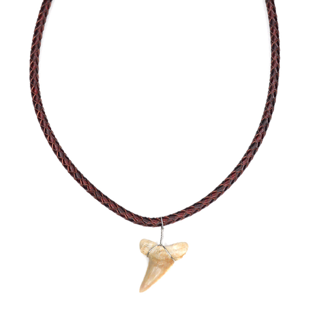Leather Bolo Shark - Fossil Shark Tooth Necklace