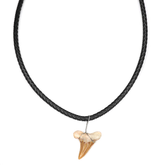 Leather Bolo Shark - Fossil Shark Tooth Necklace