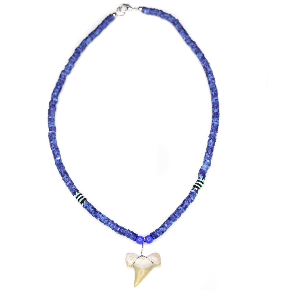 Blue Shark - Fossil Shark Tooth Necklace