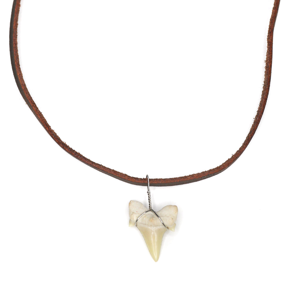 Jewelry Made From Loved Ones Teeth Flat Strand Shark Fossil