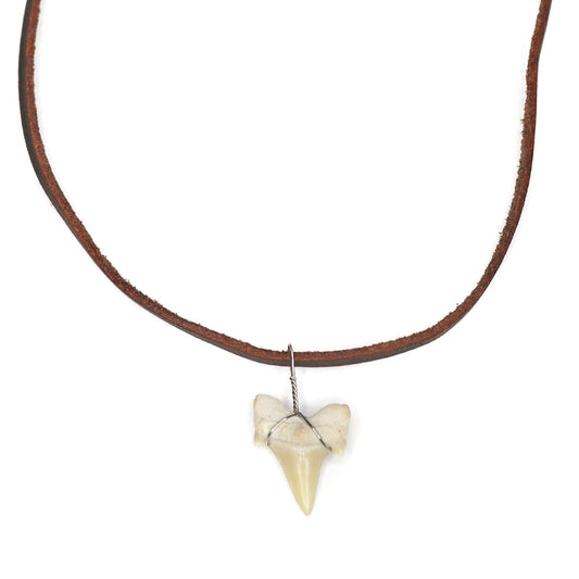 charming shark, jewelry, shark tooth necklace, men, unisex, trendy, cool, brown, big, tooth, shark, leather strand, leather, simple