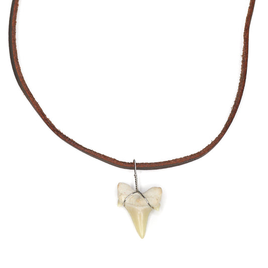 charming shark, jewelry, shark tooth necklace, men, unisex, trendy, cool, brown, big, tooth, shark, leather strand, leather, simple
