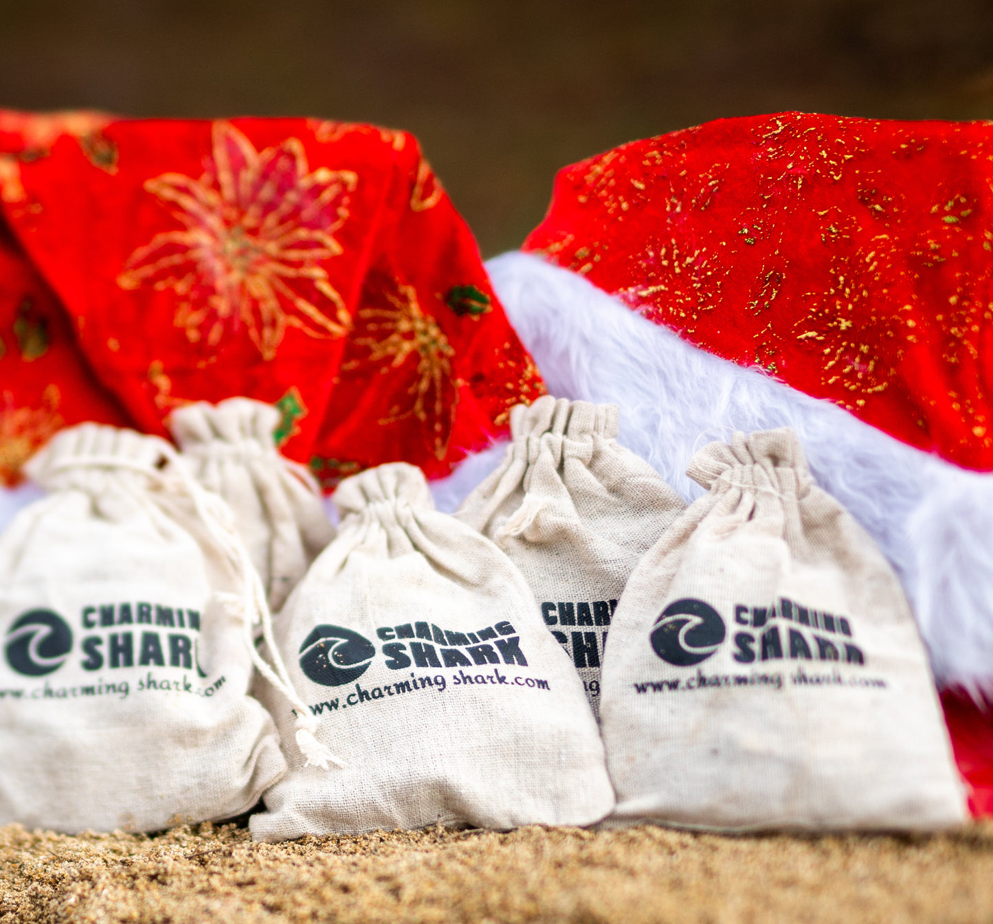 Holiday Gift Bag