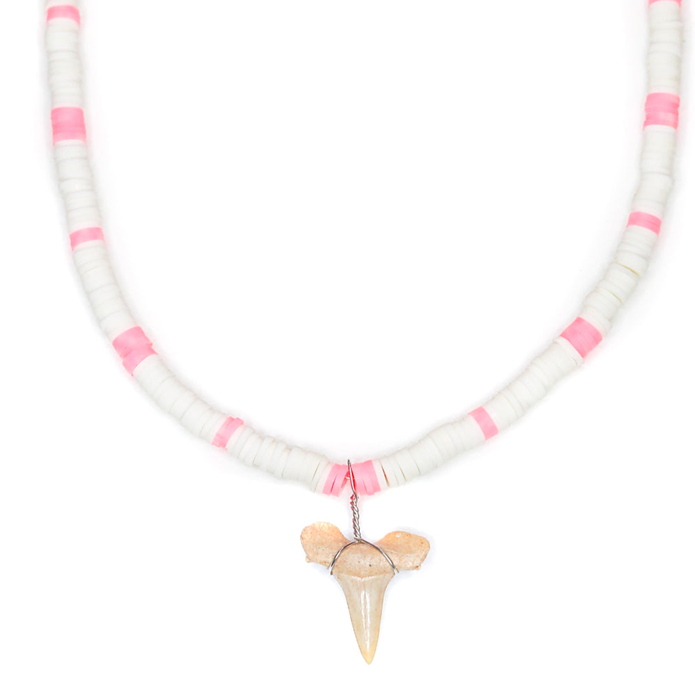 Colorful Shark - Fossil Shark Tooth Necklace