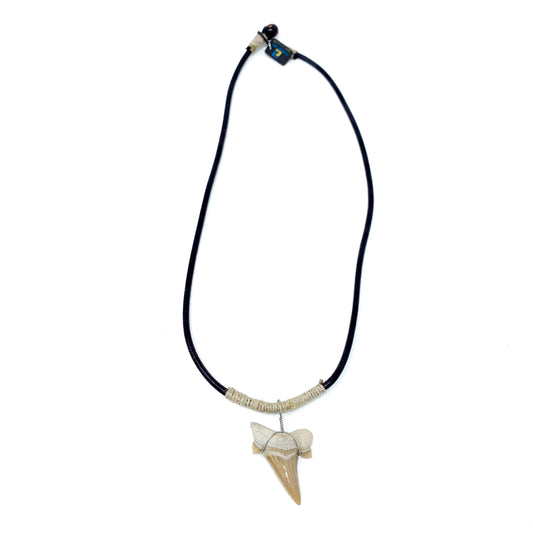 charming shark fossil sharks tooth necklace
