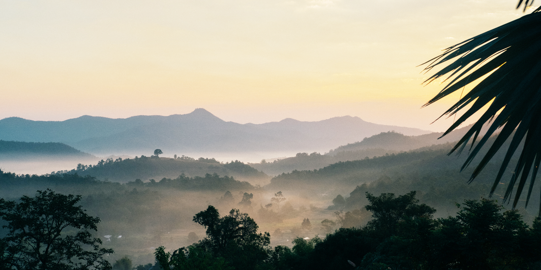 Why You Need to Visit Chiang Mai, Thailand
