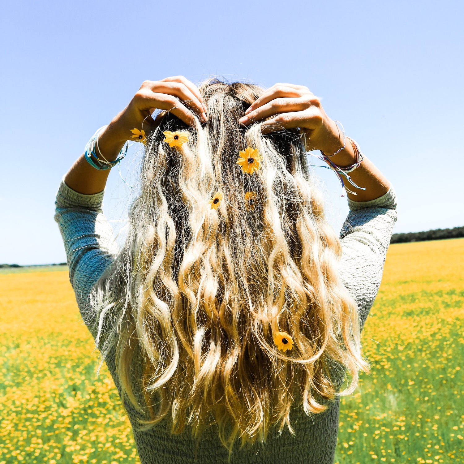 Charming Shark Summer Collection Charming Shark Retail