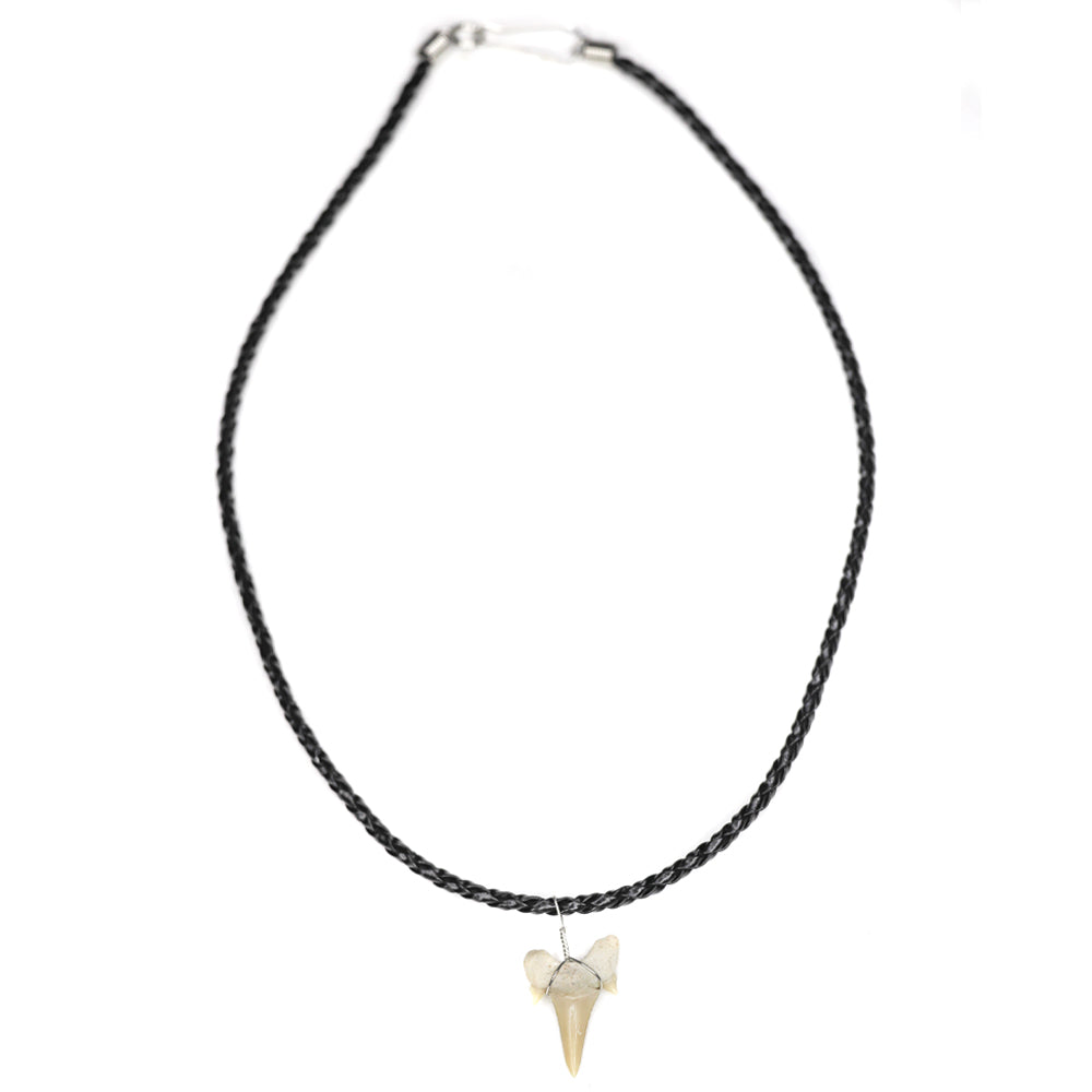 charming shark, jewelry, shark tooth necklace, unisex, men, leather, braided leather