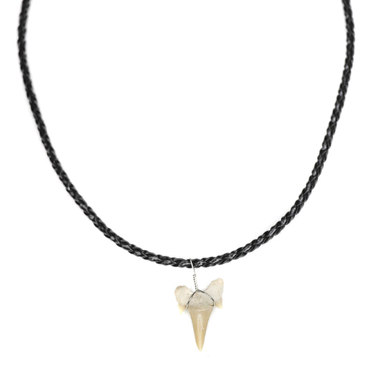 Braided Leather Shark - Fossil Shark Tooth Necklace