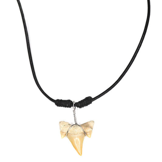 charming shark, jewelry, shark tooth necklace, men, unisex, leather cord, leather, simple, black