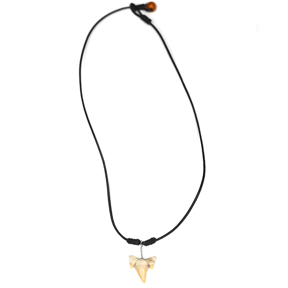 charming shark, jewelry, shark tooth necklace, men, unisex, leather cord, leather, simple, black