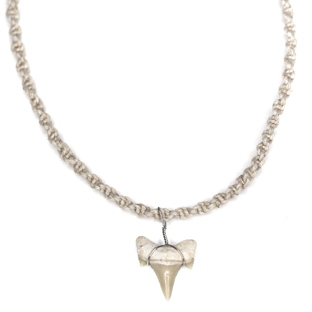 charming shark, jewelry, shark tooth necklace, natural, unisex, men, hemp, tan, light