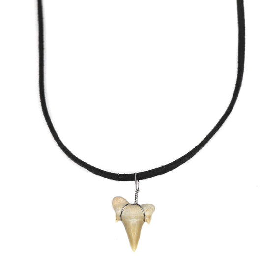 charming shark, jewelry, shark tooth necklace, men, unisex, trendy, cool, black, big, tooth, shark, suede necklace