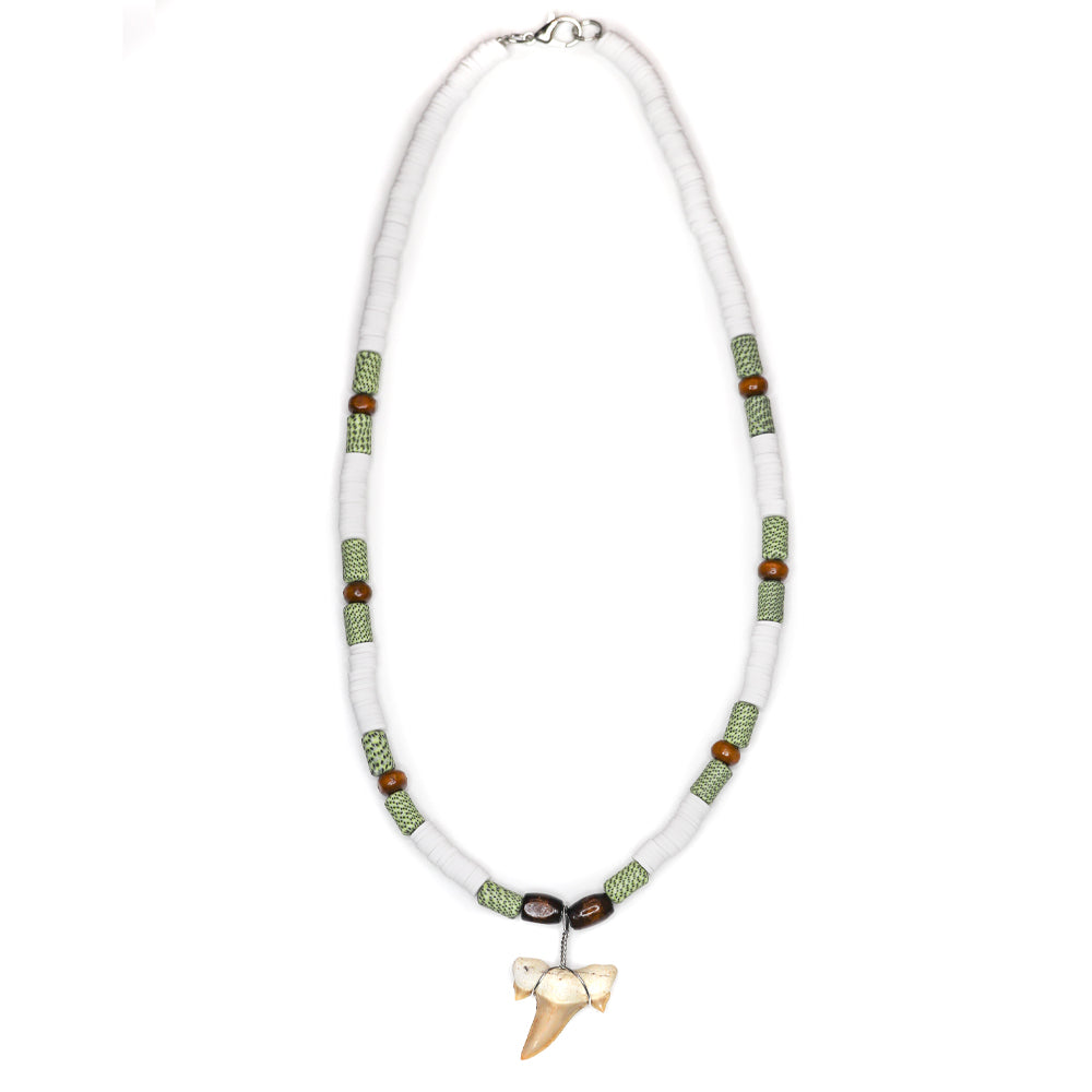 Green Shark - Fossil Sharks Tooth Necklace