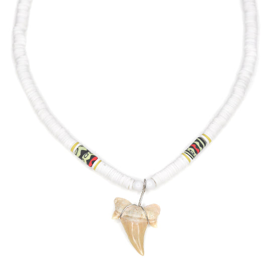 White Wild Shark - Fossil Sharks Tooth Necklace