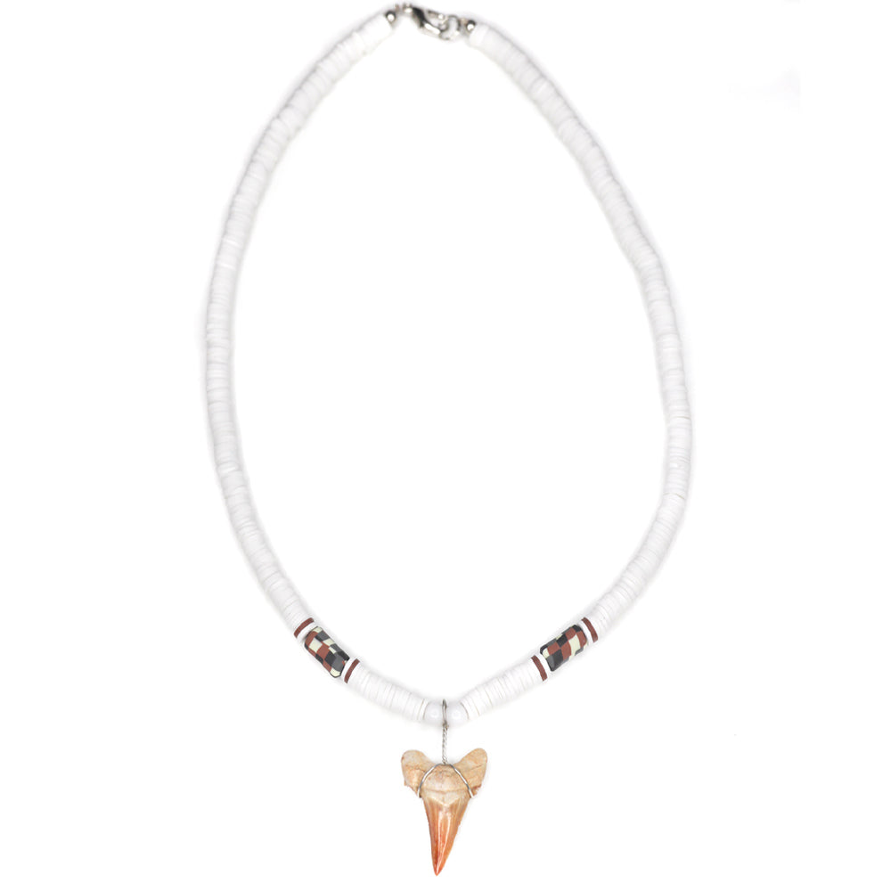 White Wild Shark - Fossil Sharks Tooth Necklace