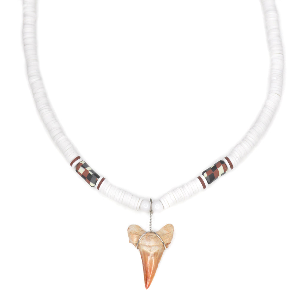 White Wild Shark - Fossil Sharks Tooth Necklace