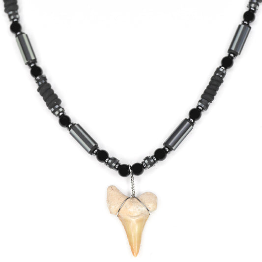 real fossilized sharks tooth necklace