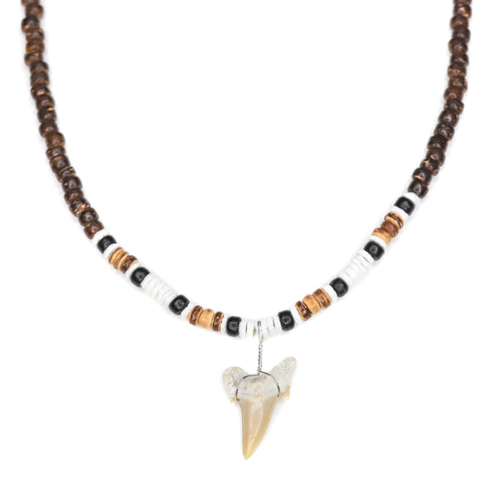 Coco Puka Shark - Fossil Shark Tooth Necklace