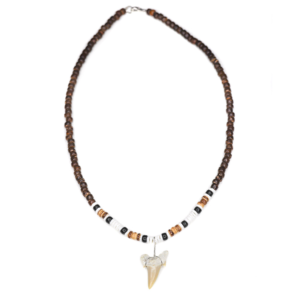 charming shark, shark tooth necklace, men, coconut beads, puka shell, white, brown, black, trendy, cool,  Surfer Necklace, Hawaiian, jewelry
