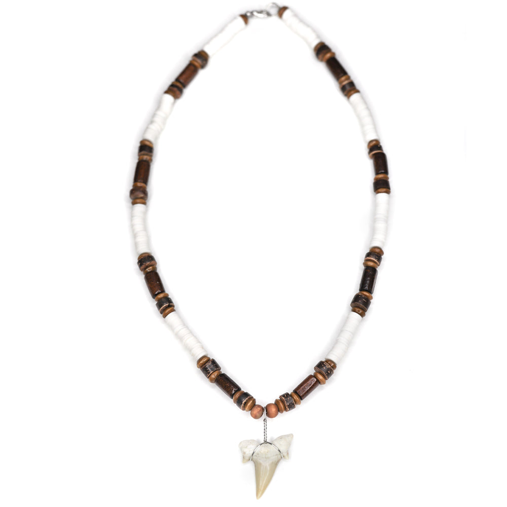 Woody Shark - Fossil Sharks Tooth Necklace