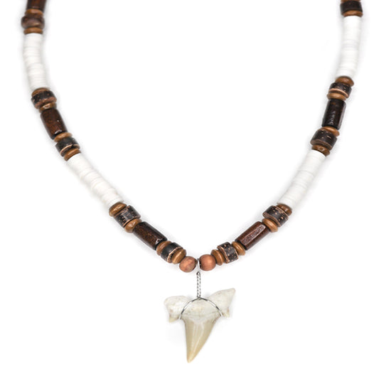 Woody Shark - Fossil Sharks Tooth Necklace