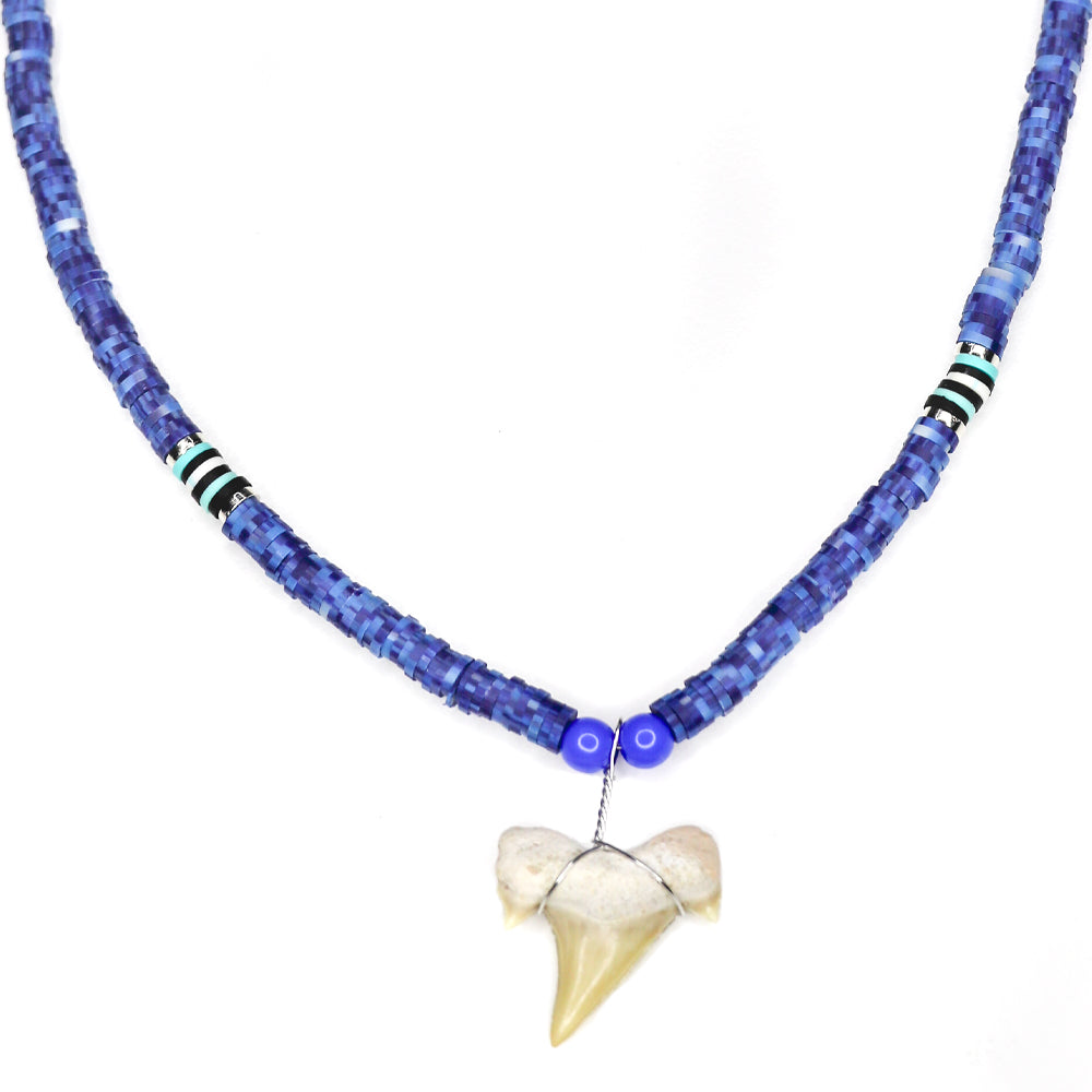 thumbnail image 2 of BlueRica Shark Tooth Necklace - Genuine Fossil Tooth With White & Blue Clam Shell Beads 2 of 12