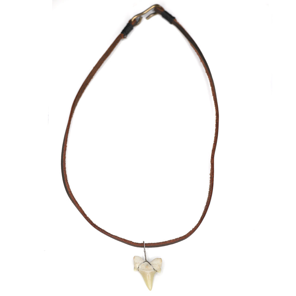 charming shark, jewelry, shark tooth necklace, men, unisex, trendy, cool, brown, big, tooth, shark, leather strand, leather, simple