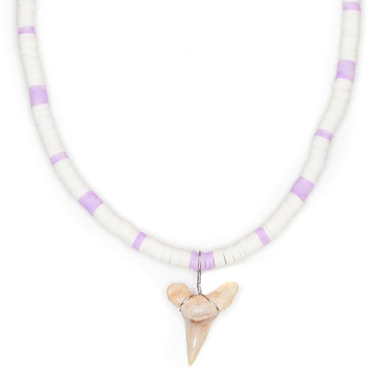 Colorful Shark - Fossil Shark Tooth Necklace