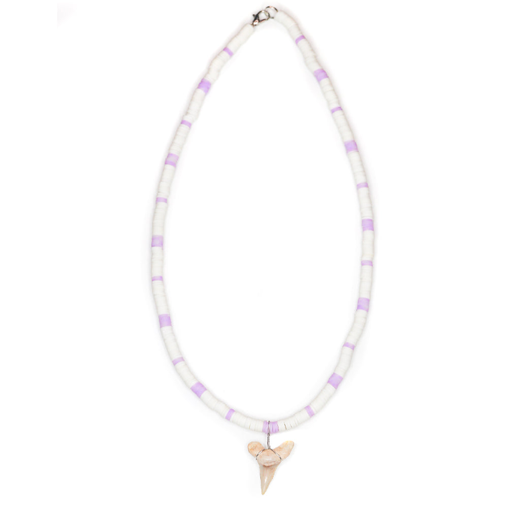 Colorful Shark - Fossil Shark Tooth Necklace