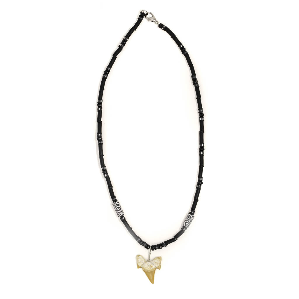 charming shark sharks tooth necklace