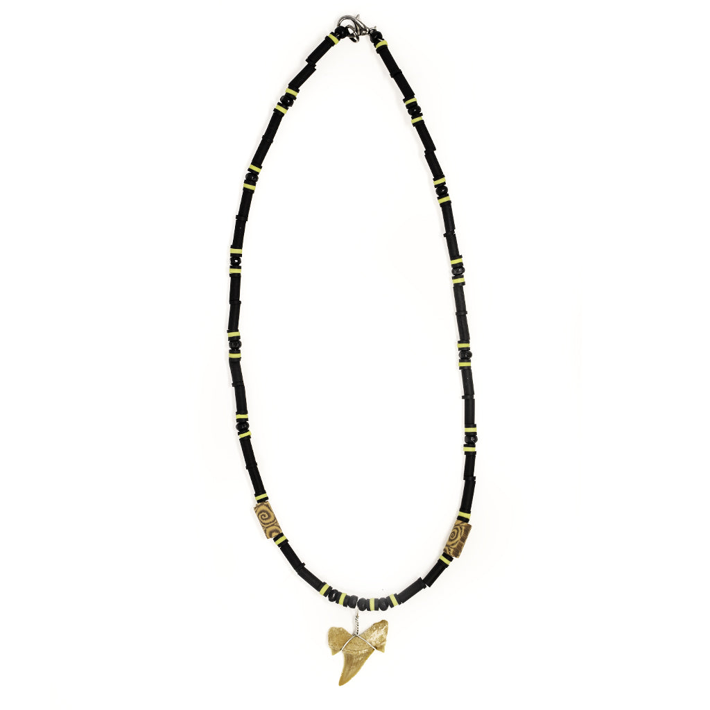 fossil sharks tooth necklace