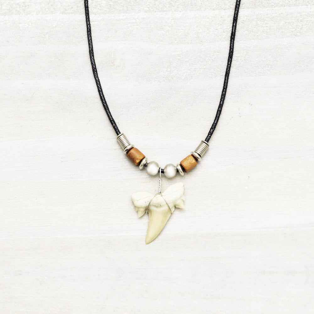 Charming Shark Sharks Tooth Necklace